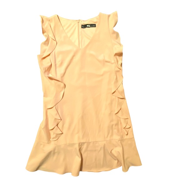 CHETTA B pink blush v-neck ruffle dress size 10 - Picture 3 of 6